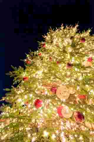 クリスマスイルミネーションのイメージ画像