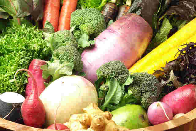 https://yasavia.com/trivia/kamakura-vegetables/