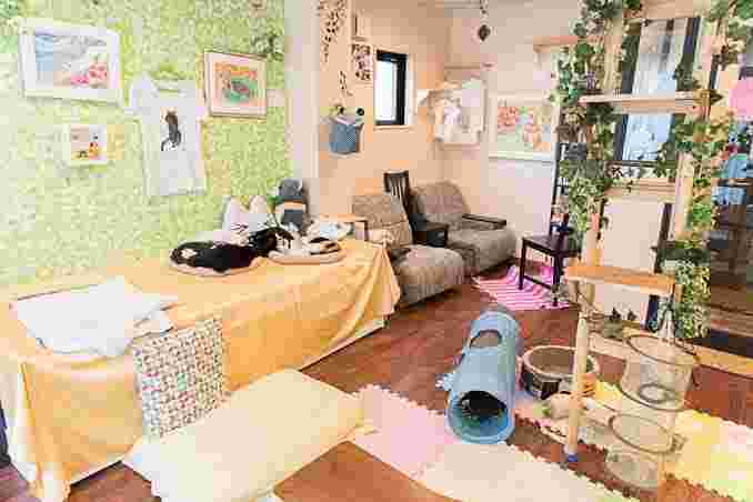 AsakusabashiネコCafeKei’sの店内
