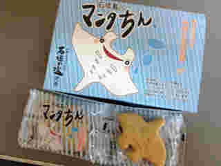 定番の形が飽きたらおすすめ！可愛いマンタちん
