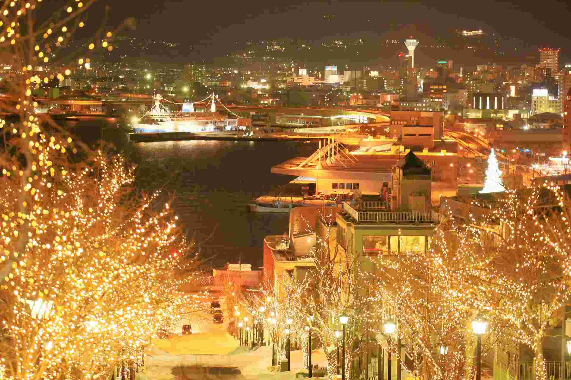 是非、観光で函館を訪れてください。夜景、雪、美味しいクレープが待っています。