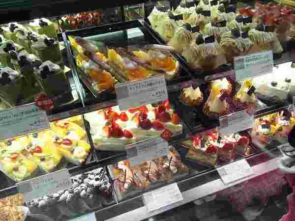 ショーケース