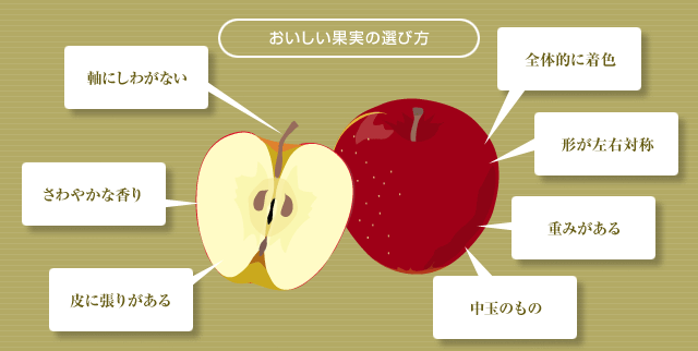 りんごの選び方の図