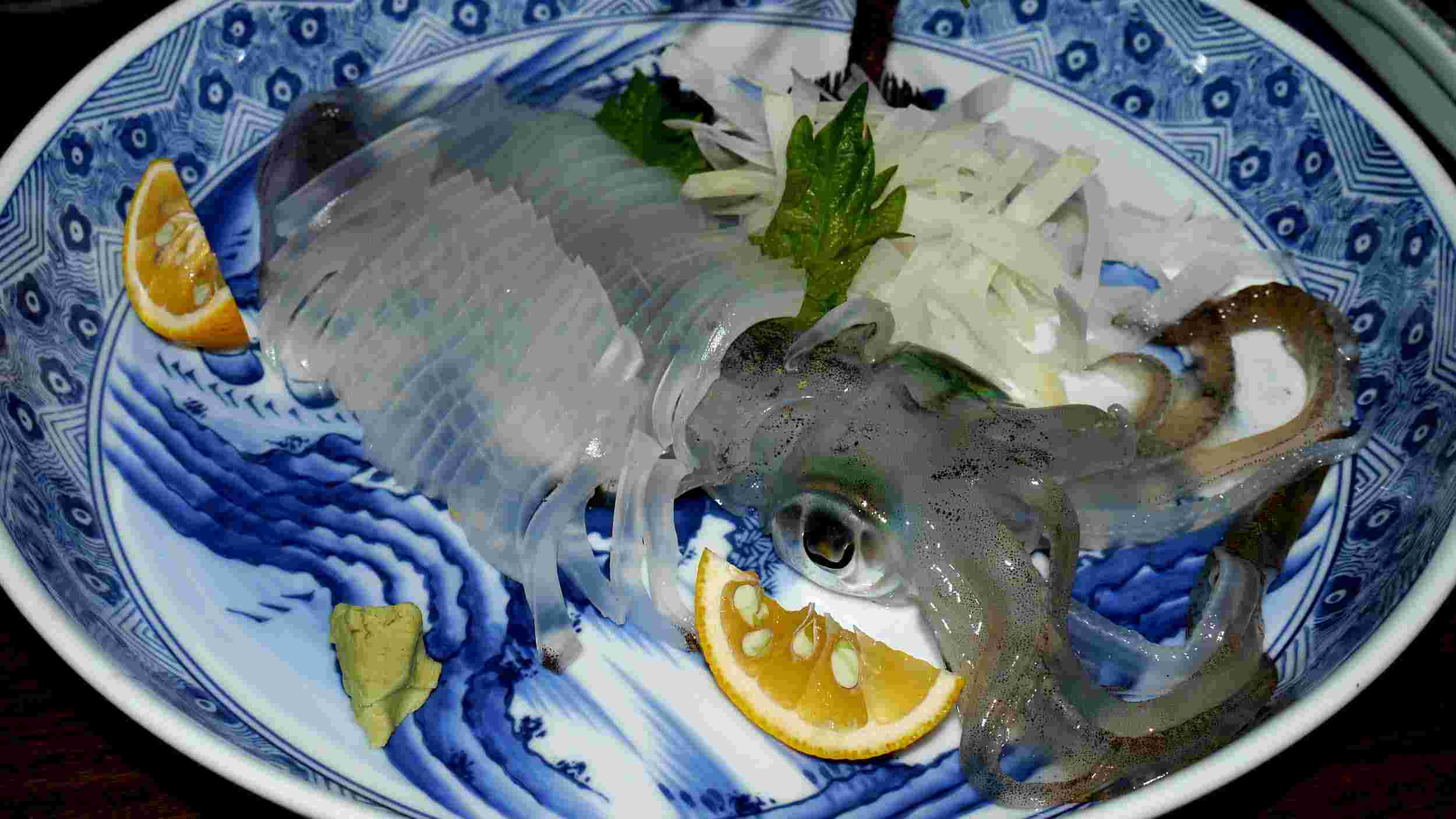 アオリイカ姿造り