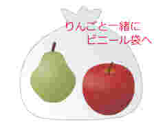 リンゴで追熟