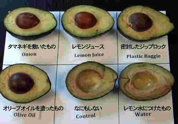 アボガドの褐変を防ぐ方法