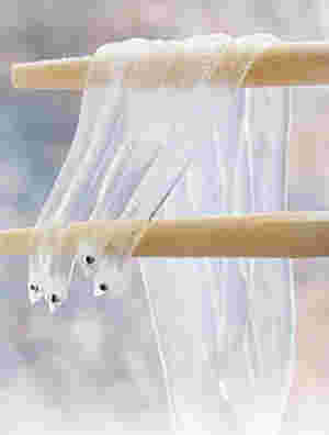 のれそれの特徴