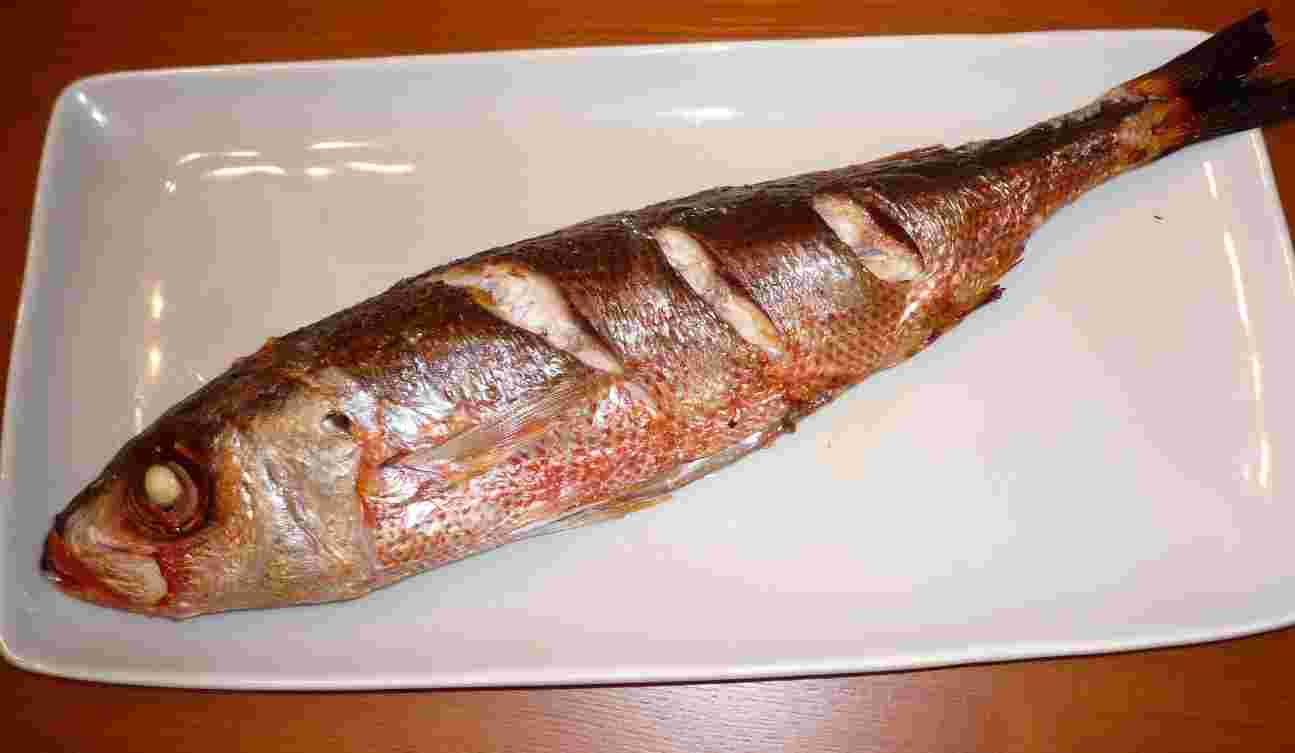 こんだり美味しく焼いたハチビキの塩焼き