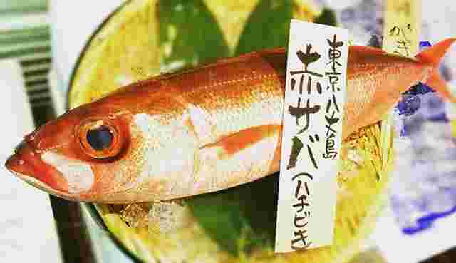 赤サバという名前でお店で売られているハチビキ