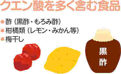 クエン酸を多く含む食品