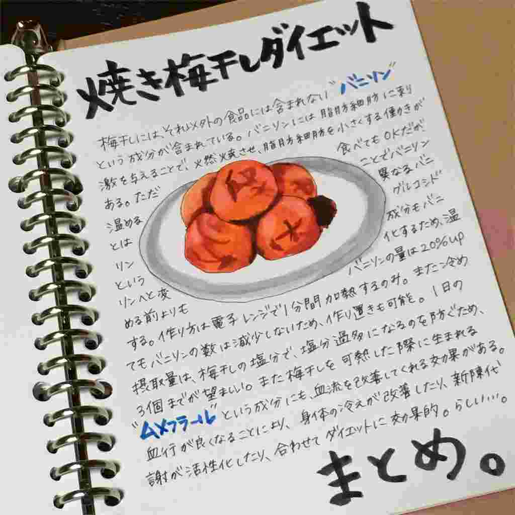 梅干しダイエットをノートにまとめた写真