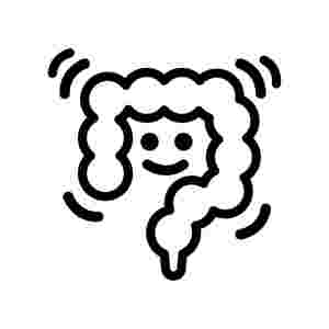 可愛くイラストされた腸