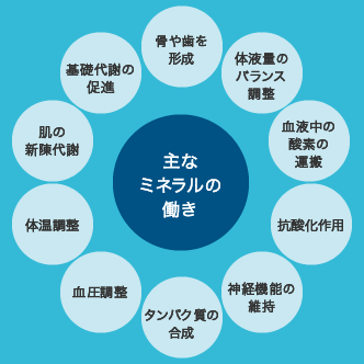 ミネラルの働き