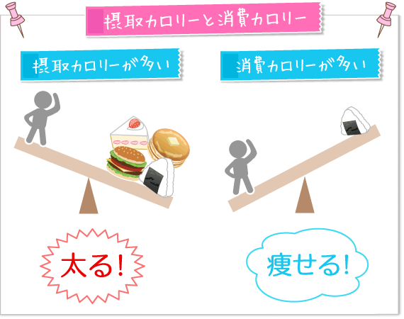 消費より摂取が多ければ太るという図