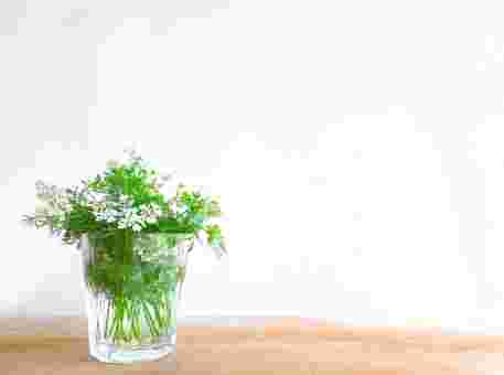 グラスコップに入ったパクチーの花