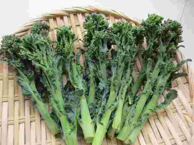 新種野菜アレッタ