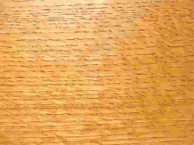 ブナ材のイメージ図