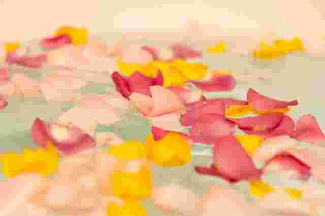 お風呂に花びらを浮かしている様子