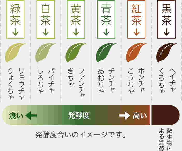 中国茶の6つの分類