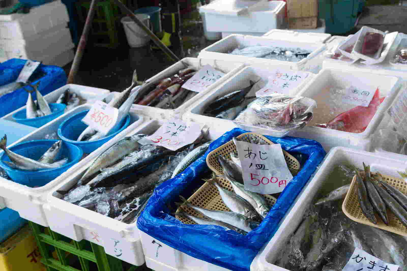 市場に並ぶ魚介類