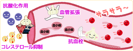 血液がサラサラを示す図