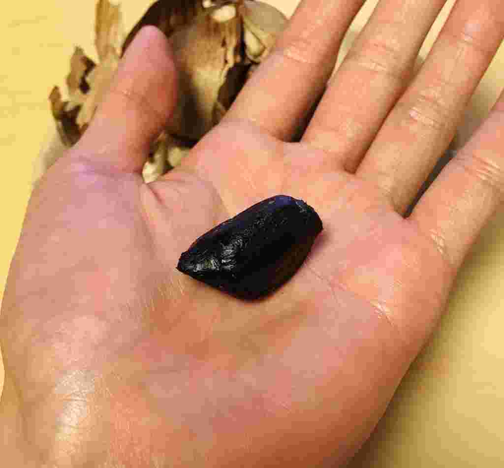 手のひらの上の黒にんにくの粒