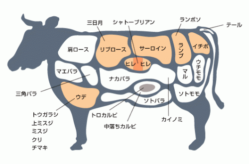 ステーキの部位説明