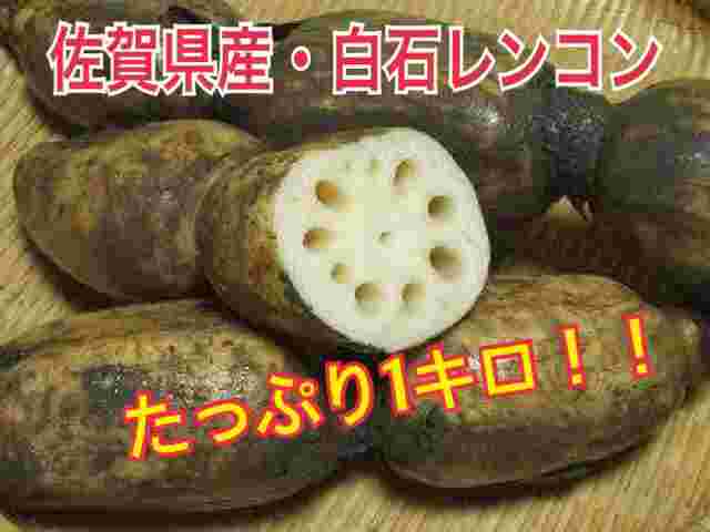 白石れんこん