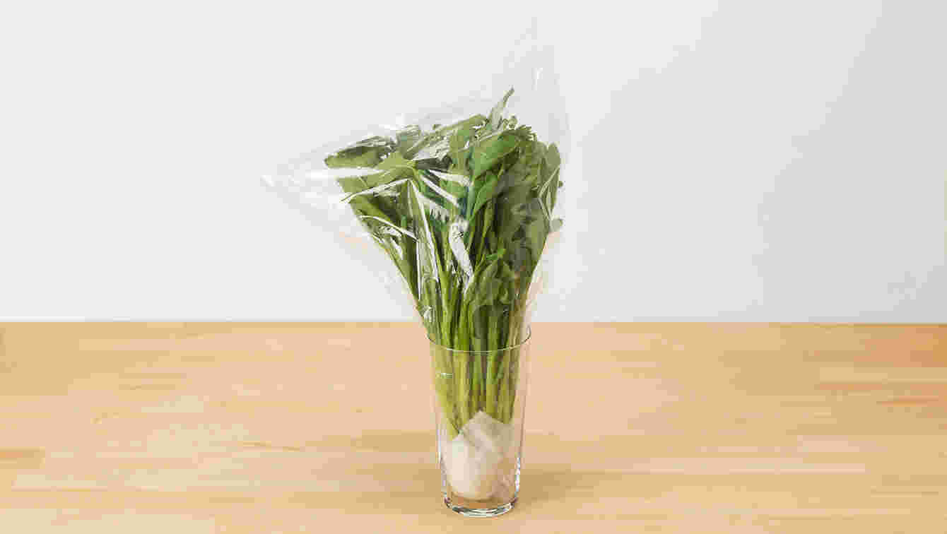 立てている春菊の画像