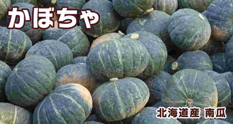 かぼちゃ 北海道産 南瓜