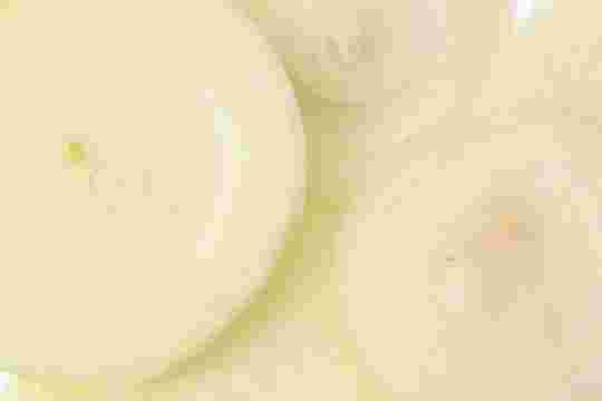 輪切りの玉ねぎ
