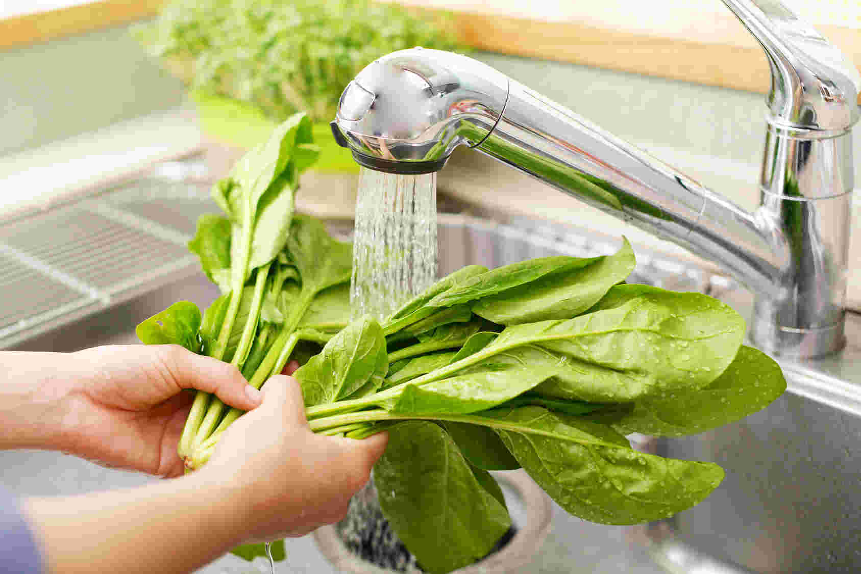 ほうれん草を水で洗っている様子