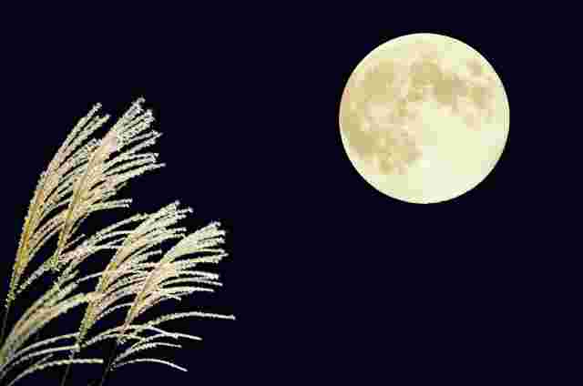 夜