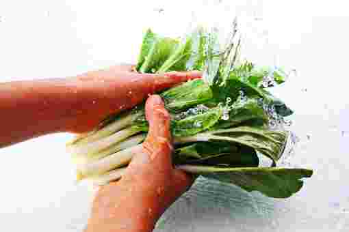 野菜を洗う画像