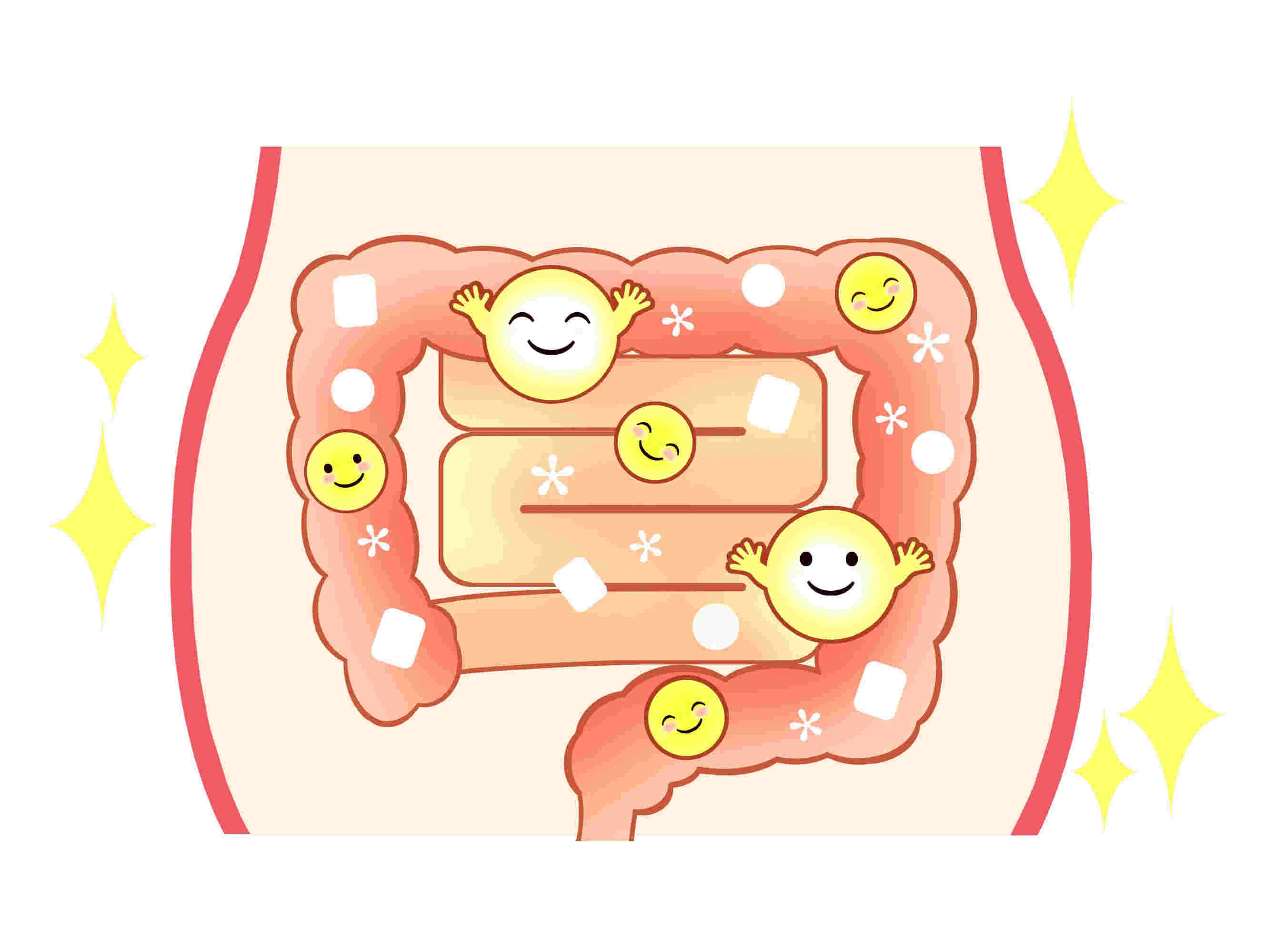 腸内環境が良い腸