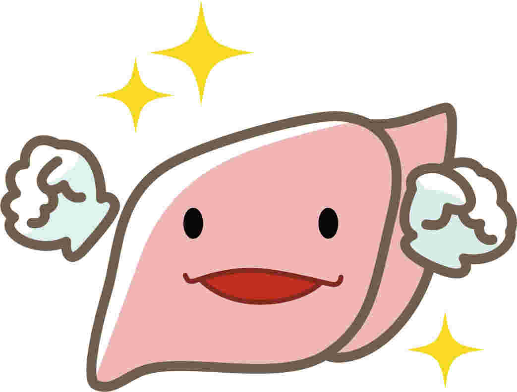 好調な肝臓