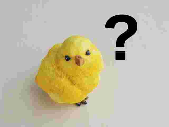 ひよこの置物と右上にハテナマーク