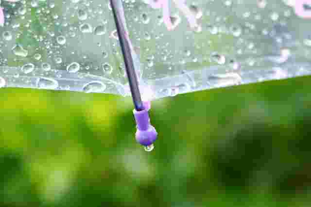 雨に濡れたビニール傘のアップ