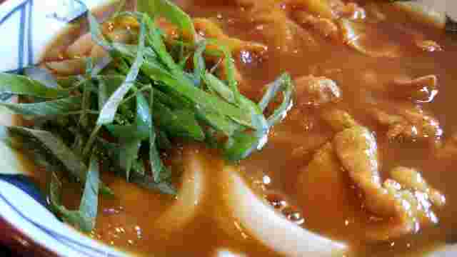 具が豚肉のカレーうどん