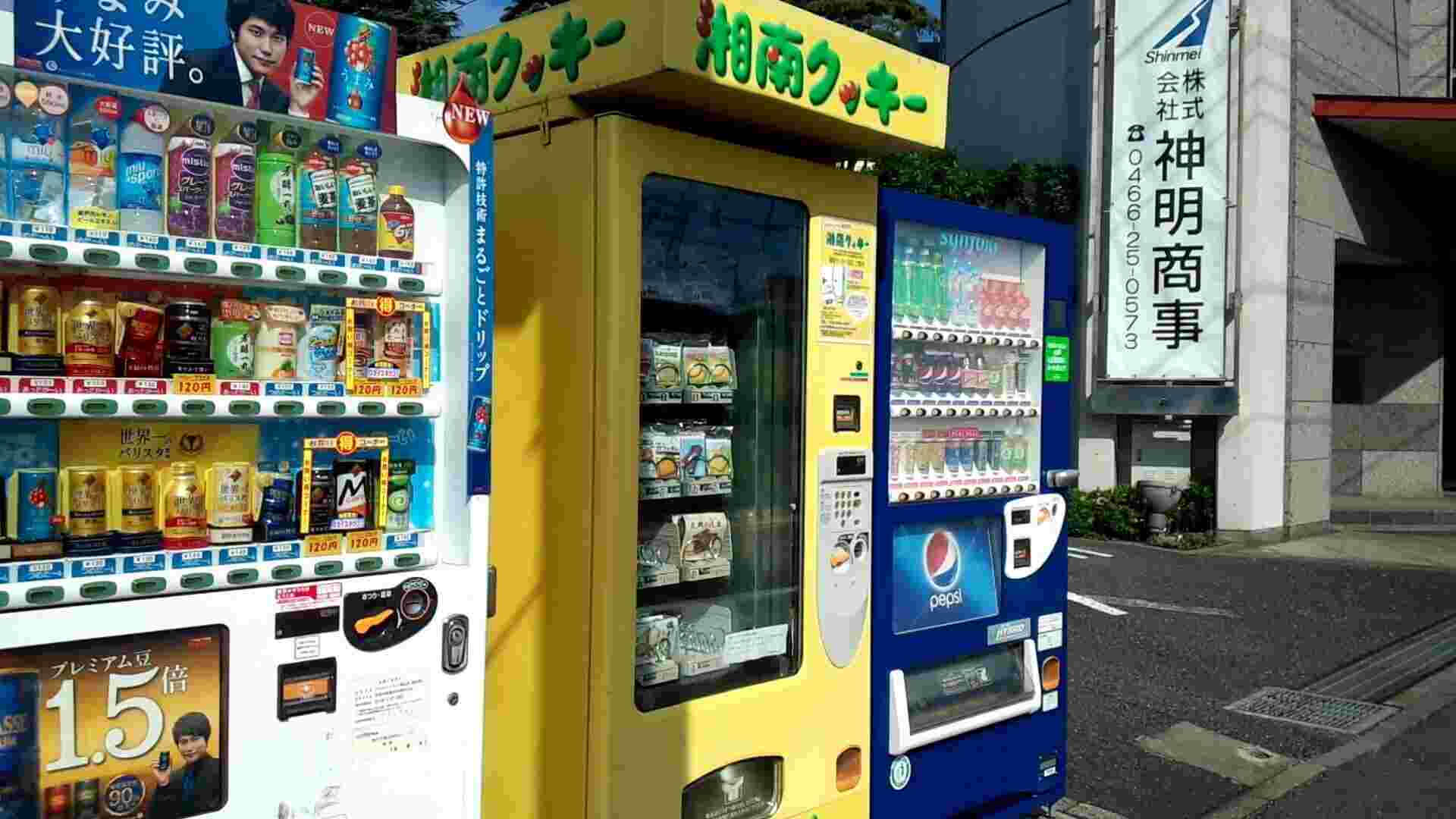 鵠沼神明の湘南クッキー