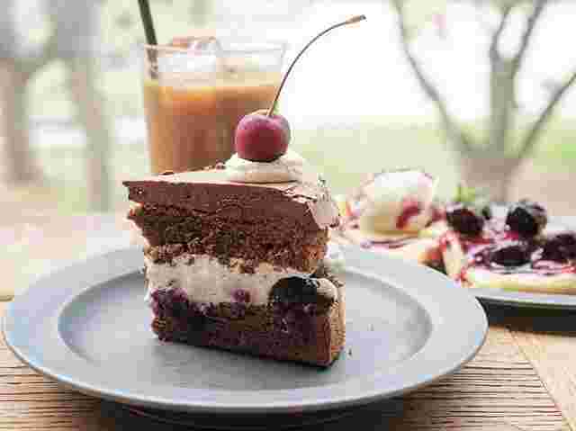 悪魔のチェリーチョコケーキ