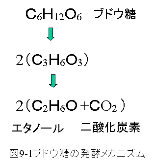 発酵の仕組み