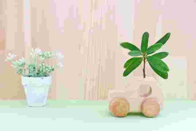 木のくるまと植木鉢