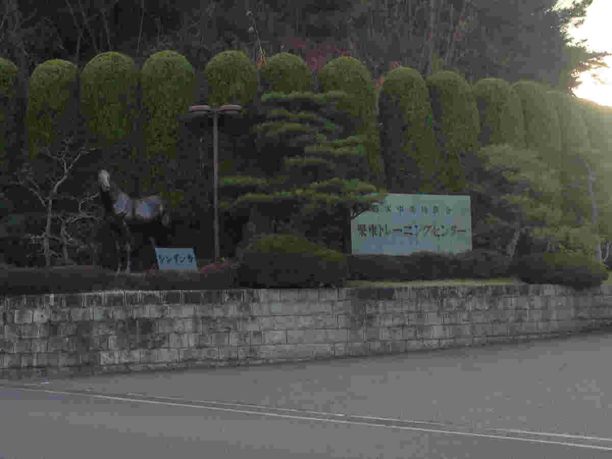 栗東トレーニングセンター