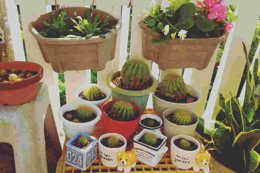 おしゃれで可愛い100均植木鉢