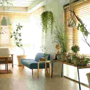 部屋の一角に観賞植物を置く