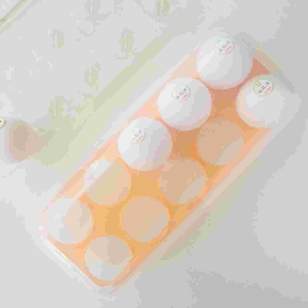 たまごケース10個用