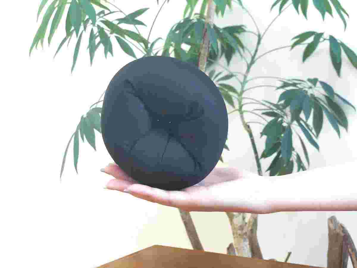 観葉植物の前で、片手に商品を持っている様子。