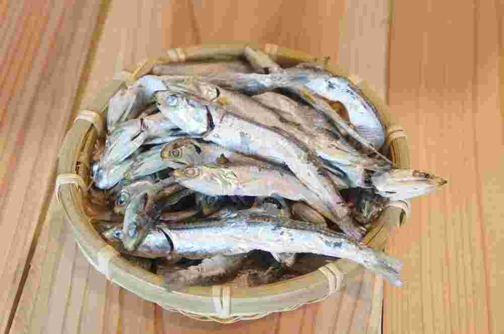煮干し