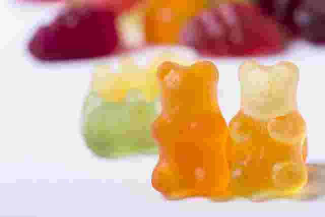 クマのグミ